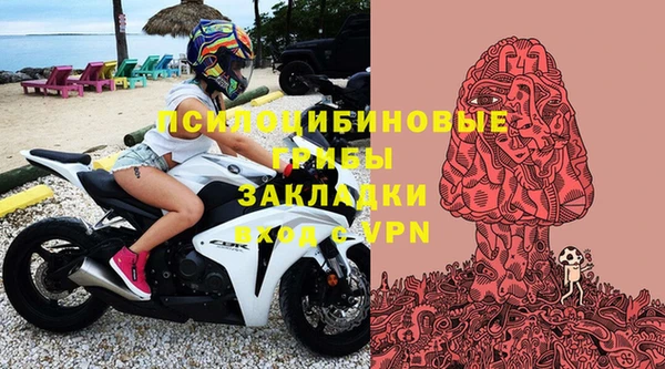 Альфа ПВП Белокуриха