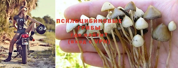 Альфа ПВП Белокуриха