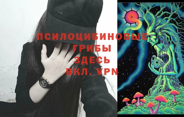 Альфа ПВП Белокуриха